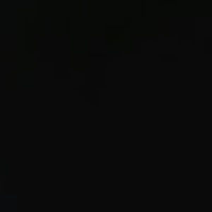 Meet your Posher, Santos